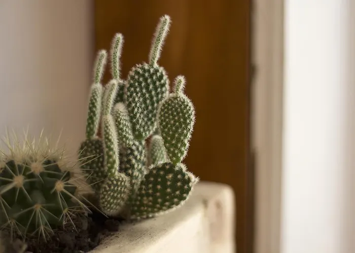 Peggy Bed & Breakfast Trieste